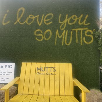 MUTTS Canine Cantina - Photo opportunity for dogs & owners - American Near Me - Dallas, Texas MUTTS Canine Cantina - Photo opportunity for dogs & owners - American Near Me - Dallas, Texas