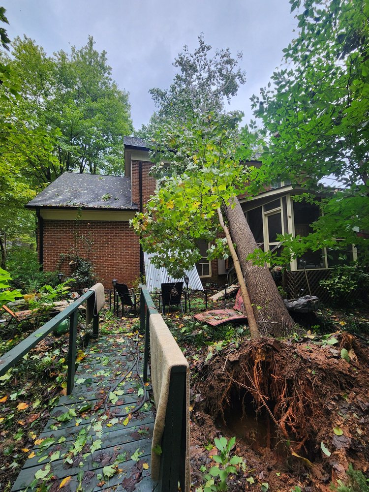 Piedmont Tree Experts - tree service in Mint Hill, NC