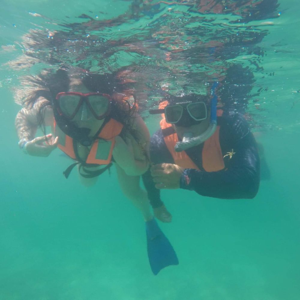 Akumal Dive Shop - Sporting Goods Near Me - Akumal, ROO Akumal Dive Shop - Sporting Goods Near Me - Akumal, ROO
