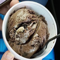 Spotted Cow - Zoreo at Spotted Cow US223