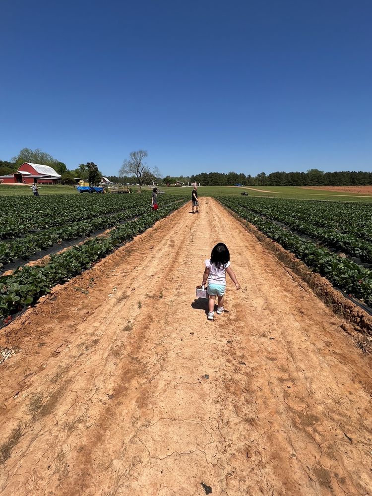 PATTERSON FARM MARKET & TOURS Updated October 2024 95 Photos & 29