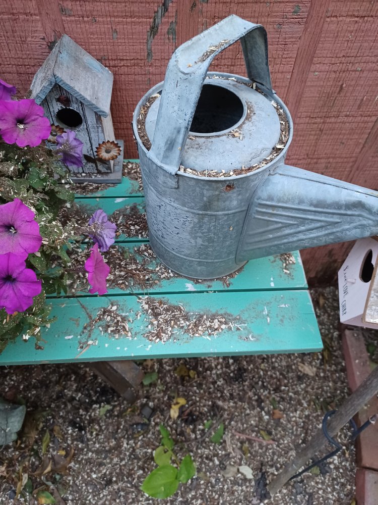 Cleds Tree Services - tree service in Halifax, MA