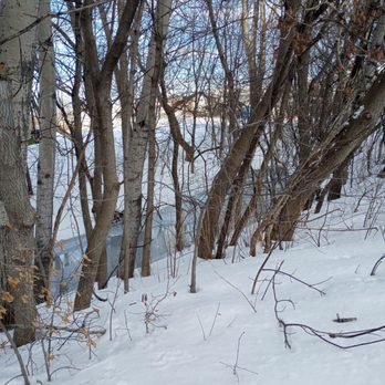 McEwen Park - Ravine - Parks Near Me - Ottawa, Ontario