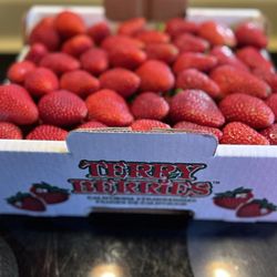 Terry Berries - My last run of the season  until February