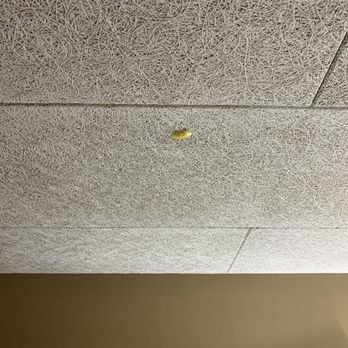 Quality Inn - Someone had a party and left their streamer tape all over the walls and ceilings. Did housekeeping really not see this? - Hotels Near Me - Wickliffe, Ohio Quality Inn - Someone had a party and left their streamer tape all over the walls and ceilings. Did housekeeping really not see this? - Hotels Near Me - Wickliffe, Ohio