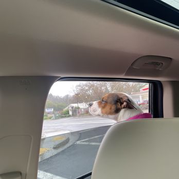 Scoop Troop - Pet Waste Removal Near Me Scoop Troop - Pet Waste Removal Near Me