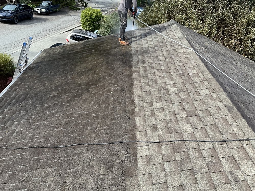 Slide of North Roof Cleaning
