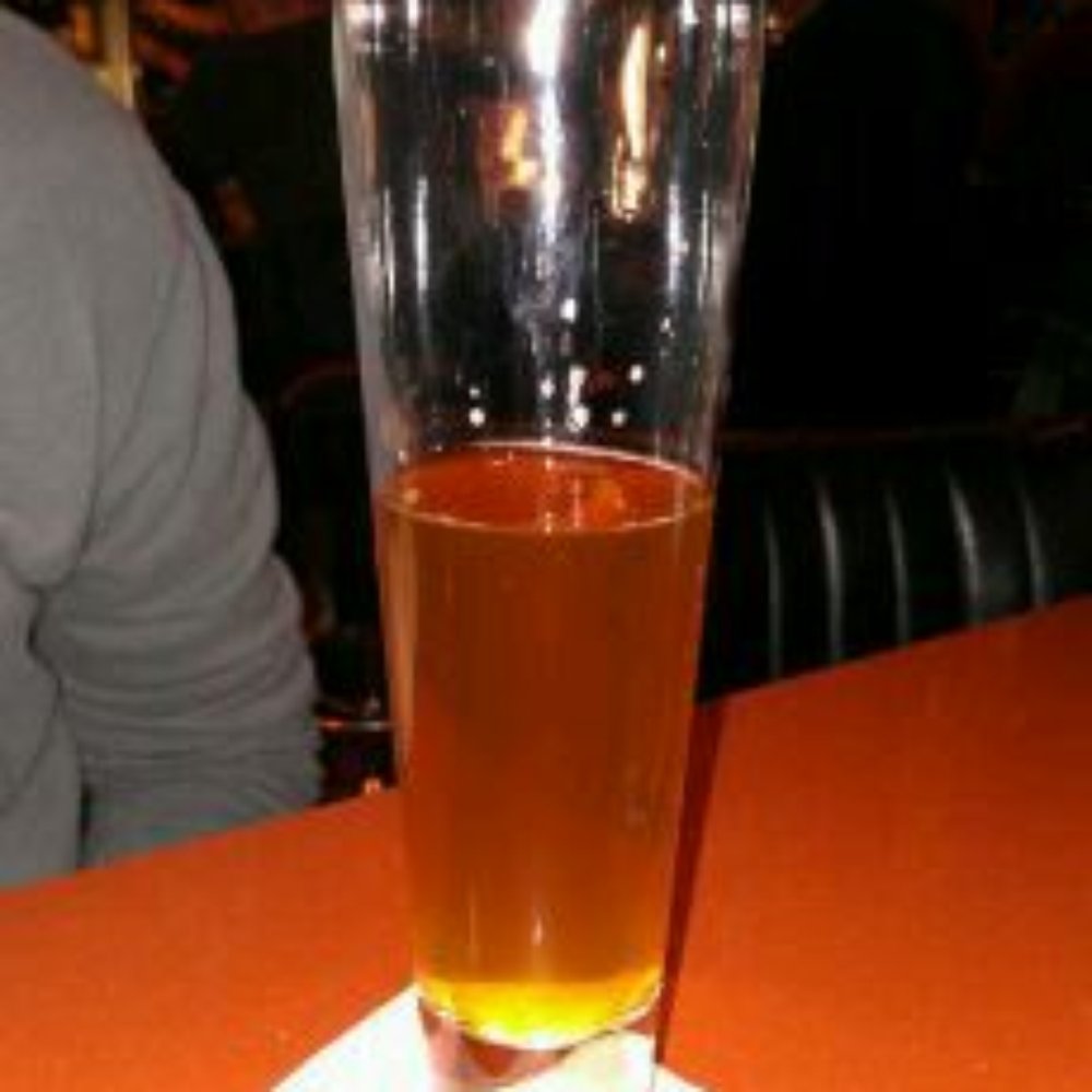 Rustico  - New American Near Me - Alexandria, Virginia