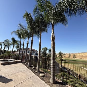 AB Tree Doctor - Rio Bravo County Club Quality Matters - Tree Services Near Me - Bakersfield, California