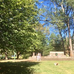 Well maintained open green space. Lots of mature trees and shade. War Memorial currently being restored October/2017. Kids climbing Turtle.