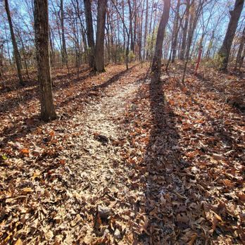 Lakeside Forest Wilderness Area - Red trail to the waterfall - Hiking Near Me - Branson, Missouri