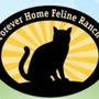 Photo of Forever Home Feline Ranch