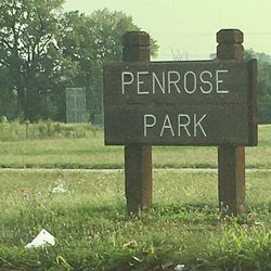 Penrose Park - Litter and overgrown grass in mid-summer indicates the park gets little regular maintenance.