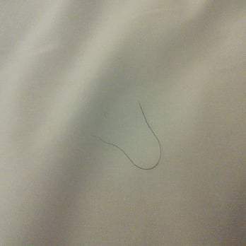Hotel Atwater - Pubic hair when we lifted our comforter. This is definitely not ours since were both cleanly shaven. - Hotels Near Me - Avalon, California Hotel Atwater - Pubic hair when we lifted our comforter. This is definitely not ours since were both cleanly shaven. - Hotels Near Me - Avalon, California