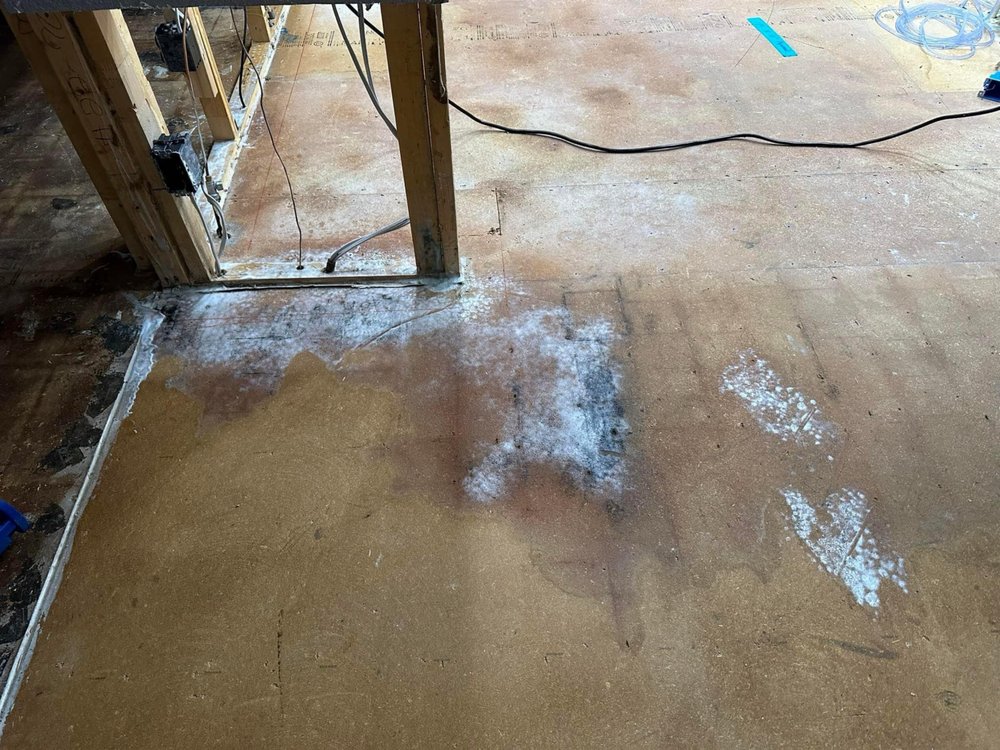 Slide of Mammoth Restoration Arizona