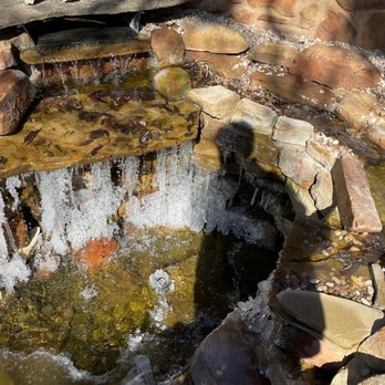 Pat's Games - The pond froze over. The fish survived. - Tabletop Games Near Me - Austin, Texas Pat's Games - The pond froze over. The fish survived. - Tabletop Games Near Me - Austin, Texas