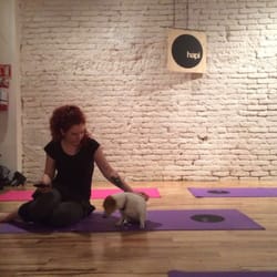 Hapi - Normalmente no hay perros, pero a veces recibimos visitas muy especiales 3