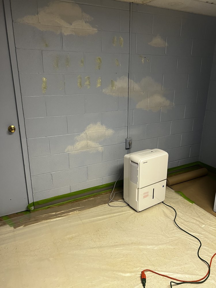 Slide of The Handyman