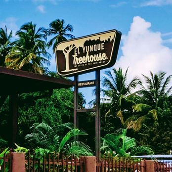El Yunque Treehouse - El Yunque Treehouse - Puerto Rican Near Me - Río Grande, Puerto Rico