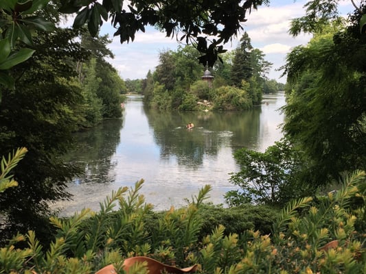 Bois de Boulogne by null