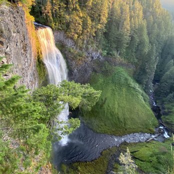 Salt Creek Falls - Upper rim with view of lower creek. - Hiking Near Me