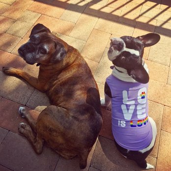 Pet Food Express - Love this store! Cutest t shirt ever!!!! - Pet Stores Near Me - Glendale, California