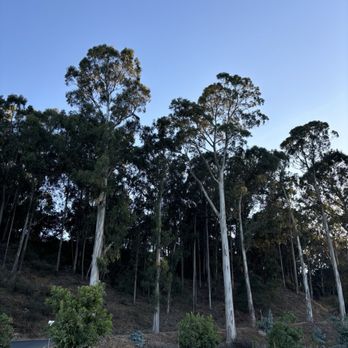 McNears Beach - Beaches Near Me - San Rafael, California