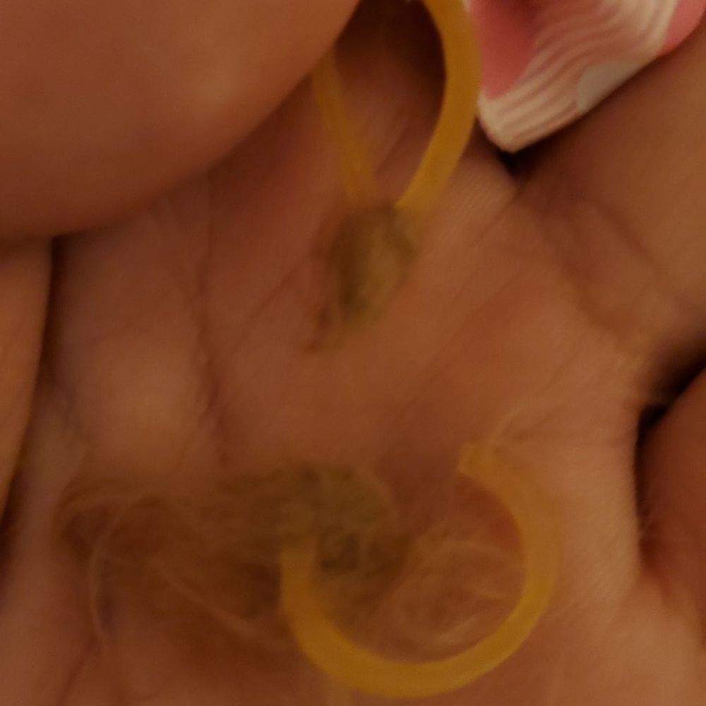 Petco - Found out regular rubber bands was used, that material isn't used for hair or fur. I noticed how the fur was stuck to the rubber band. - Pet Stores Near Me - Ewa, Hawaii Petco - Found out regular rubber bands was used, that material isn't used for hair or fur. I noticed how the fur was stuck to the rubber band. - Pet Stores Near Me - Ewa, Hawaii