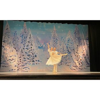 North County Classical Ballet - Two professional ballet performers - Dance Studios Near Me - Carlsbad, California