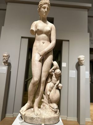 Michael C. Carlos Museum by null