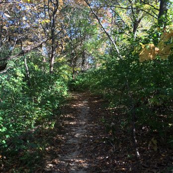 Jubilee College State Park - Parks Near Me - Brimfield, Illinois Jubilee College State Park - Parks Near Me - Brimfield, Illinois