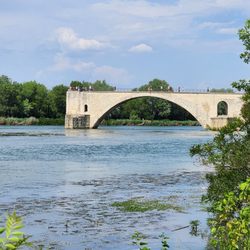 Pont Saint-Bénezet - Pont d'Avignon - Bridge
