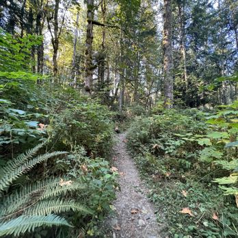 Tiger Mountain State Forest - Parks Near Me - Snoqualmie, Washington