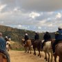 Photo of Sunset Ranch Hollywood Stables