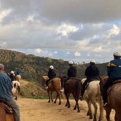 Sunset Ranch Hollywood Stables - Horses