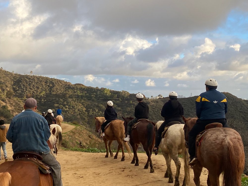 Sunset Ranch Hollywood Stables - equestrian in Los Angeles, CA