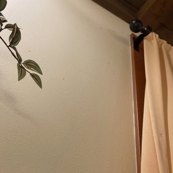 Olive Garden Italian Restaurant - Idle bugs lingering the wall. - Italian Near Me - Mckinney, Texas Olive Garden Italian Restaurant - Idle bugs lingering the wall. - Italian Near Me - Mckinney, Texas