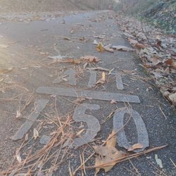 American Tobacco Trail - From the start to the 1.5mi mark where I turned around