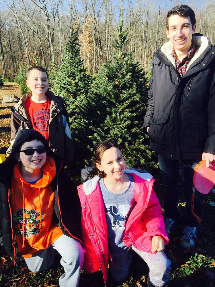 CHRISTMAS TREE LANE Updated July 2024 555 Bruyn Tpke, Wallkill, New