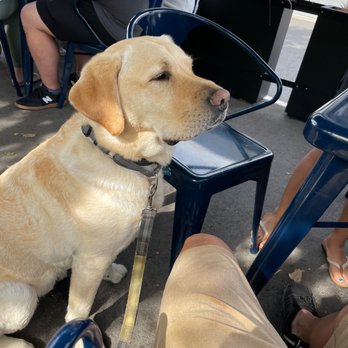 Plank Coffee Healdsburg - Patio seating. @oakythedog - Coffee Roasteries Near Me - Healdsburg, California Plank Coffee Healdsburg - Patio seating. @oakythedog - Coffee Roasteries Near Me - Healdsburg, California