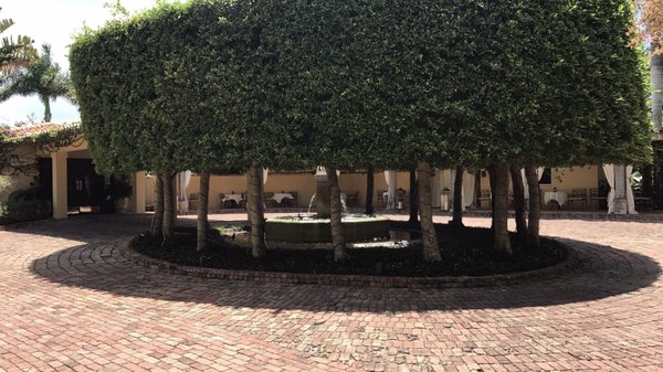 The Escalante by null