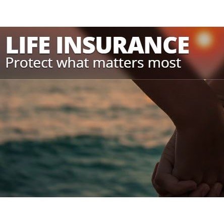 All Spectrum Insurance Brokers