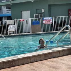 Clearwater Beach Hotel - Pool area was awesome