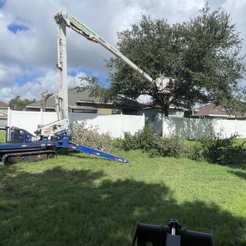 Bros Tree Service - Tree Services Near Me - Kissimmee, Florida Bros Tree Service - Tree Services Near Me - Kissimmee, Florida