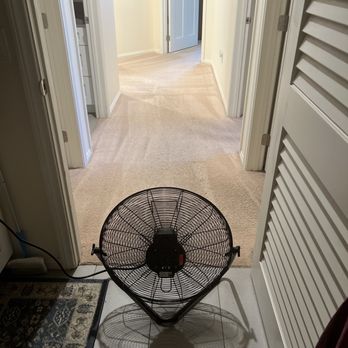 Pinks Carpet and Tile Cleaning - Carpet Cleaning Near Me Pinks Carpet and Tile Cleaning - Carpet Cleaning Near Me