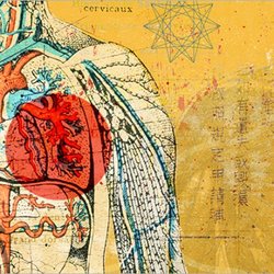 Embody Alchemy - Brae practices Tui Na Massage, a form of Chinese Medicine. This style of massage uses the meridian system also used in acupuncture.