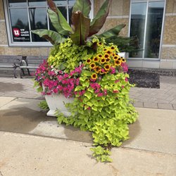 Madison Area Technical College - Could be in a royal garden...although no kings please!