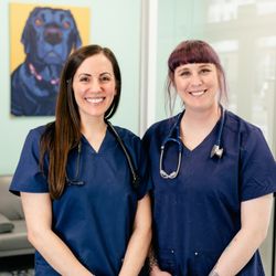 PetVet 365 - Dr. Silvana Giardini and Dr. Amy Shiflett