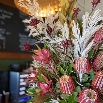 Fed - Bakeries Near Me - Wentworth Falls, NSW