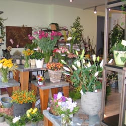 Pott & Blume